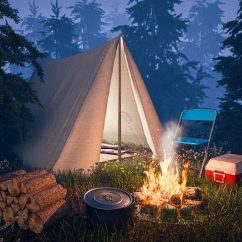 Camping night