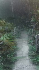 Forest Path