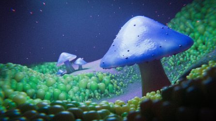 Mushroom, a love story