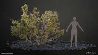 Namaqualand: Poly Haven Collection