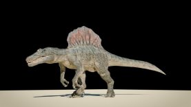 Spinosaurus walk cycle