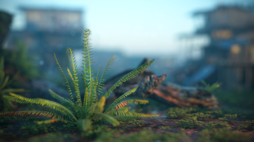 Fern ground