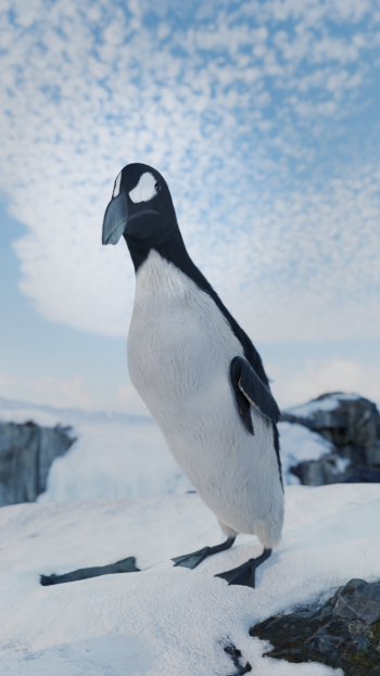 Great Auk