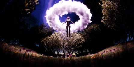 Midnight dream