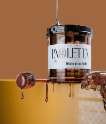 Student Project - PAOLETTA Honey